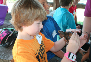 Faith Wood observes an Eastern box turtle during Bear Creek Lake State Park’s Wildlife Detective Day Camp.