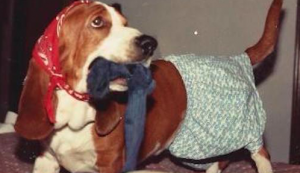 The death of “Brewster,” one of Cobbs’ Bassett Hounds, taught Cobbs to “take every opportunity to express our love.”