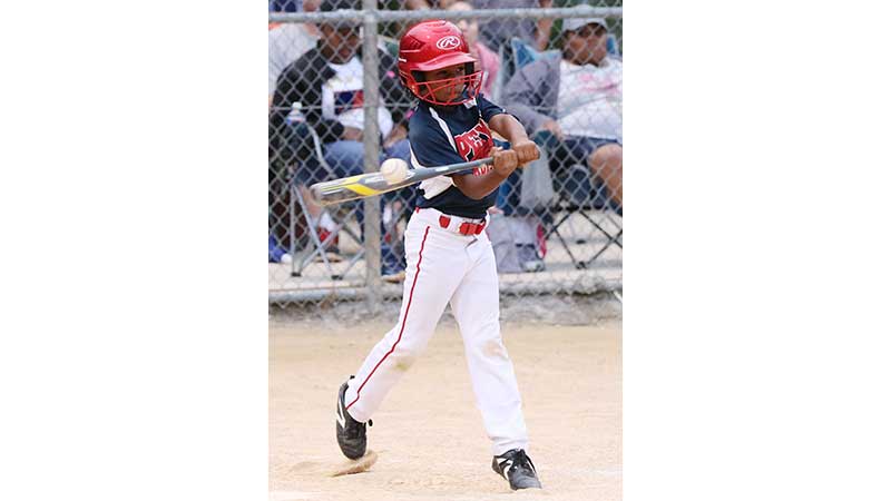 PEFYA Majors: 2019 Virginia Dixie Youth Baseball Division 1 State Champions  - Farmville