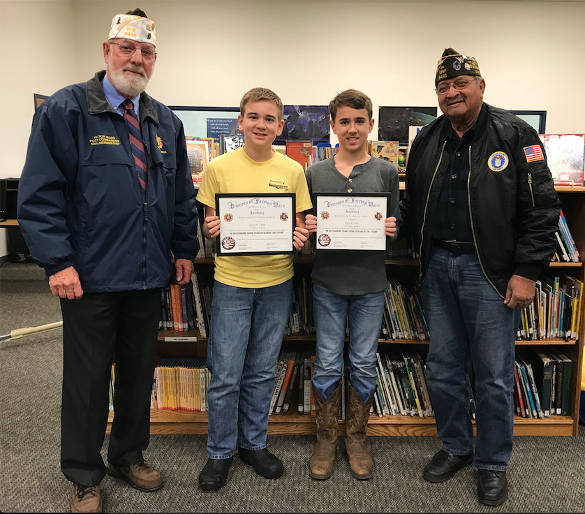 what is the vfw essay contest