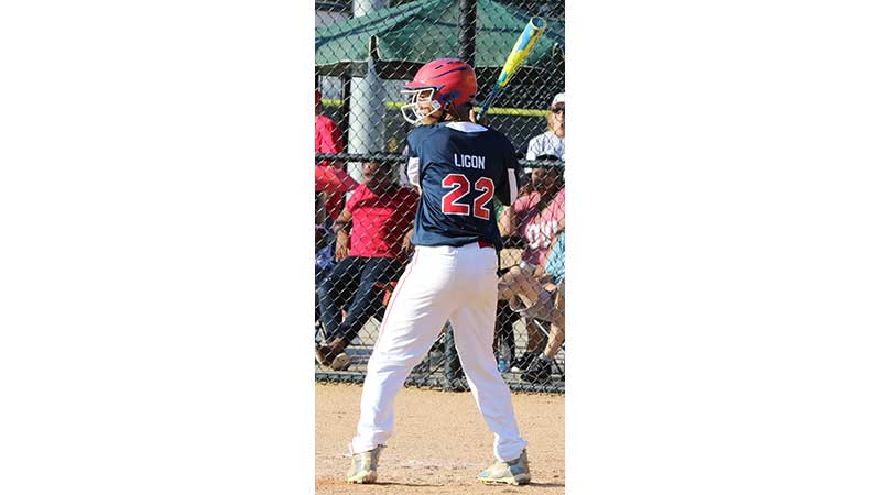 PEFYA Majors: 2019 Virginia Dixie Youth Baseball Division 1 State Champions  - Farmville