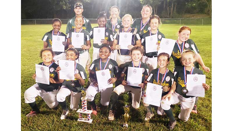 PEFYA Majors: 2019 Virginia Dixie Youth Baseball Division 1 State Champions  - Farmville