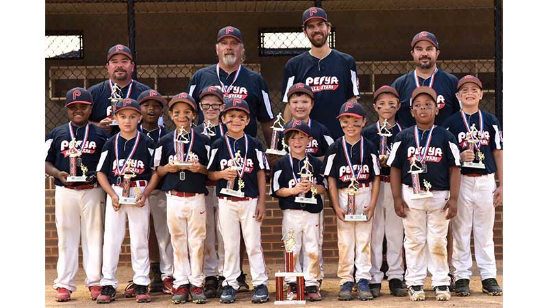 PEFYA Majors: 2019 Virginia Dixie Youth Baseball Division 1 State Champions  - Farmville