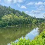 Briery Creek