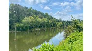 Briery Creek