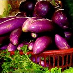 food preservation