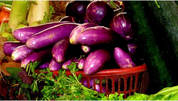 food preservation