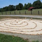 Sprouse's Corner Ranch
