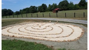 Sprouse's Corner Ranch
