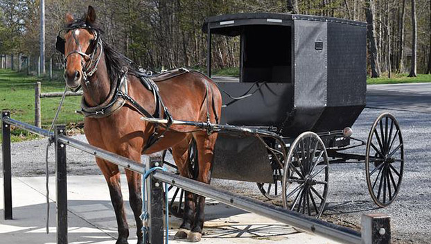 Amish