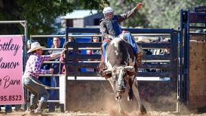 Rodeo Ticket Scam
