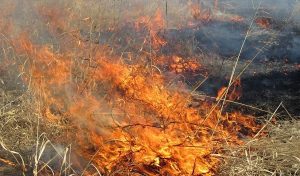 emergency burn ban
