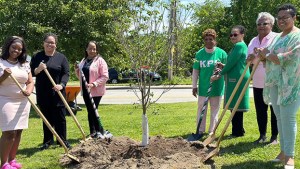Tree Planting