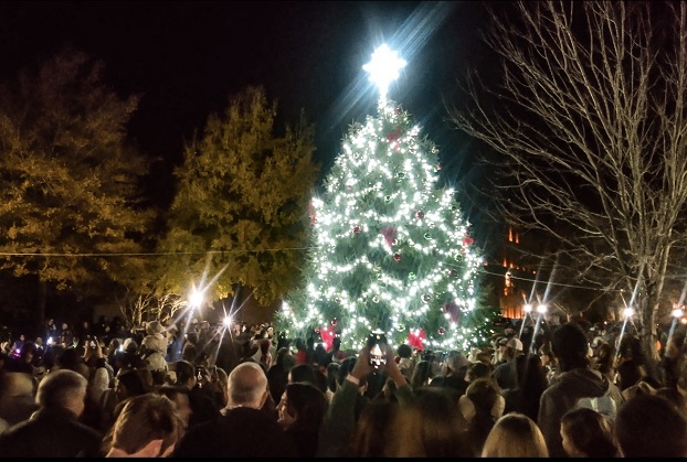 Farmville tree lighting