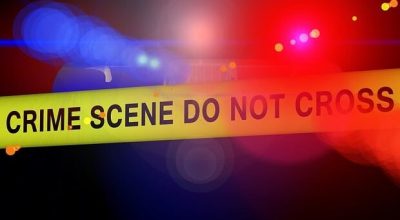 Farmville police Amish buggy ICE fatal accident