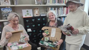seed bank 