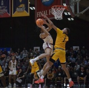 Hampden-Sydney Tigers
