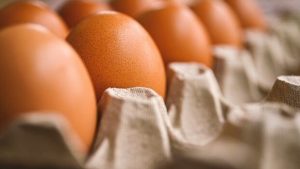 Poultry Cooperative
