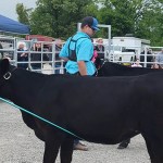 Cumberland FFA