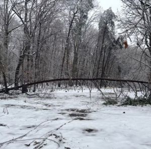 Power restoration