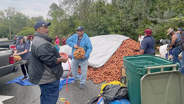 sweet potato giveaway